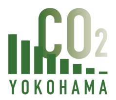 Declaration of Decarbonization Initiatives