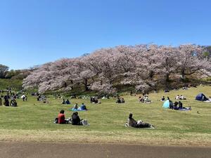 Negishi Forest Park