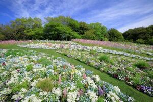 Satoyama Garden