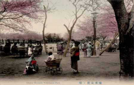 Yokohama Park postcard