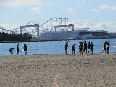 Beach clean activities