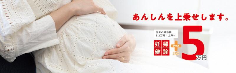 Pregnant women's medical examination fee TOP banner