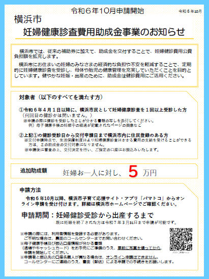 System Information Flyer