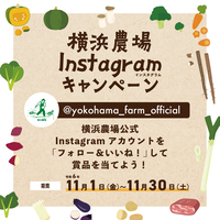 Yokohama Farm Instagram Campaign