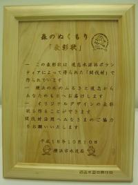 Reward items (wooden certificate)