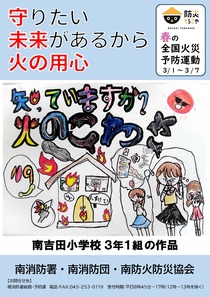 Image of "Distribution flyer 3 years 1 set"