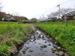 Waterside of Izumi River