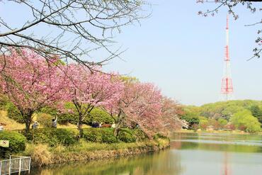 Photographs of Prefectural Mitsuike Park